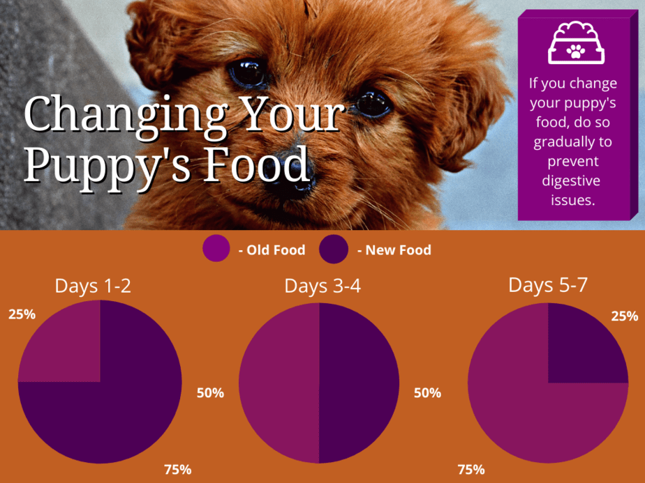transition chart to changing puppy food