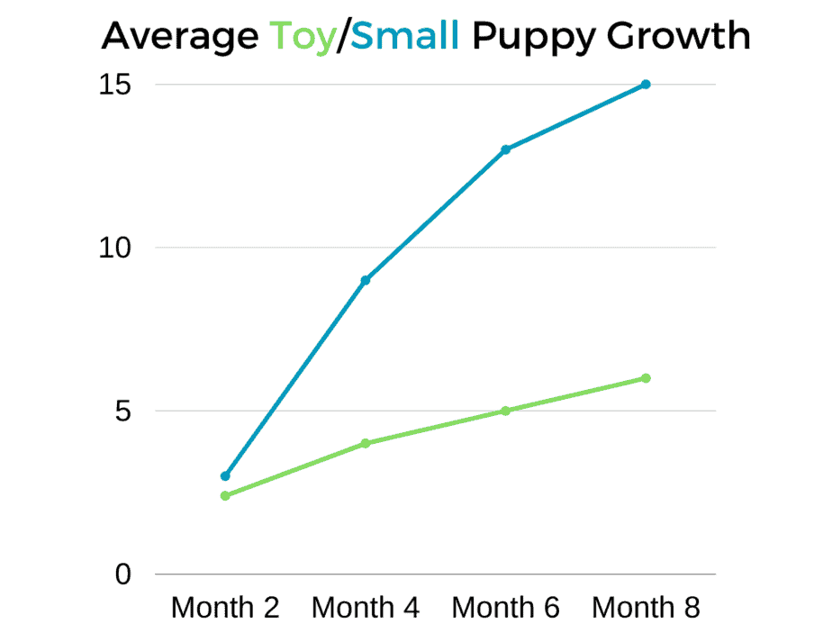 average toy or small growth rate chart