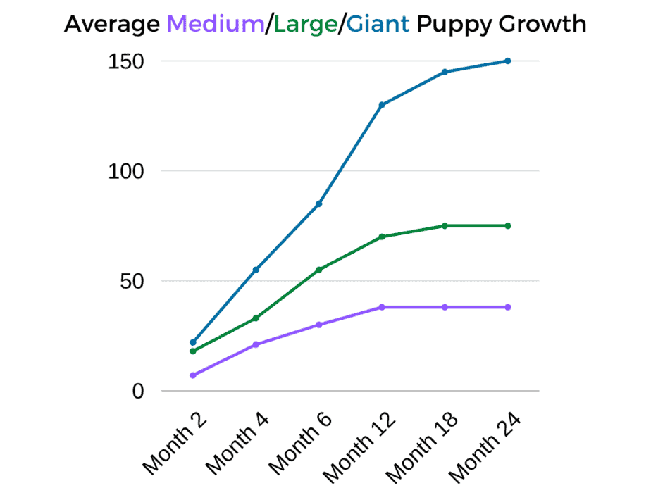 average medium and large growth rate chart